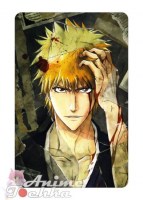 Bleach 043